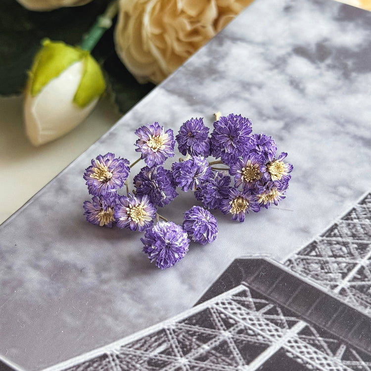 Dried Mini Flowers For Resin Art